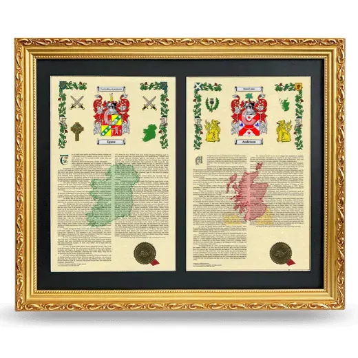 Double Armorial History Framed - Gold