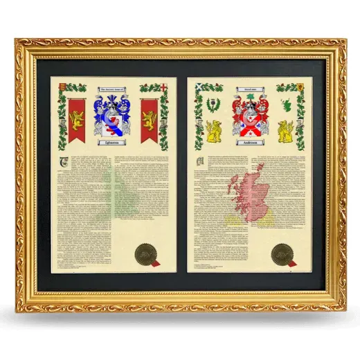 Double Armorial History Framed - Gold
