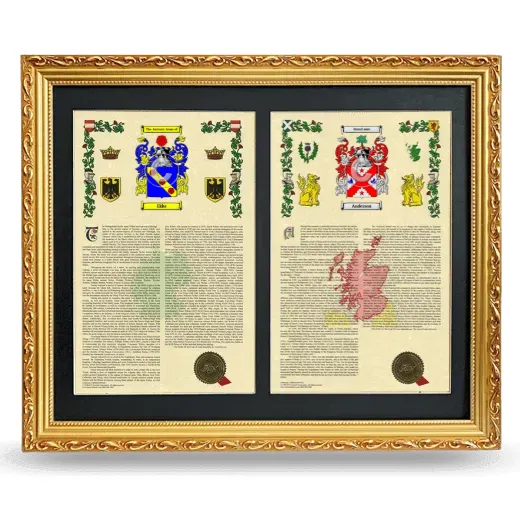 Double Armorial History Framed - Gold