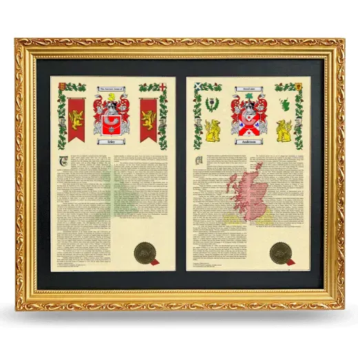 Double Armorial History Framed - Gold