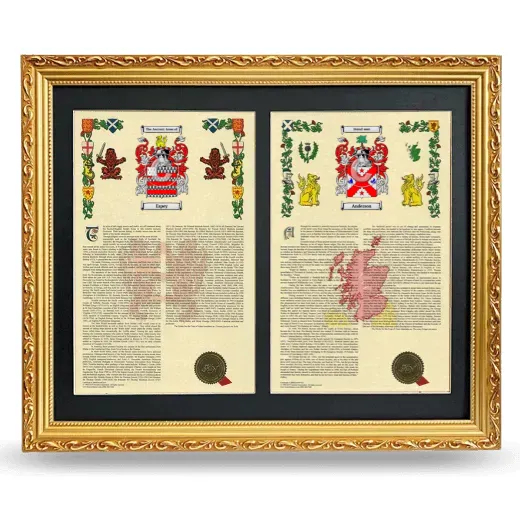 Double Armorial History Framed - Gold