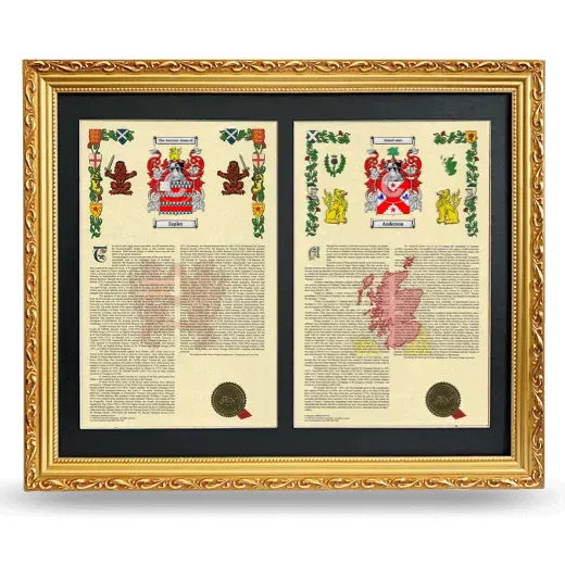 Double Armorial History Framed - Gold