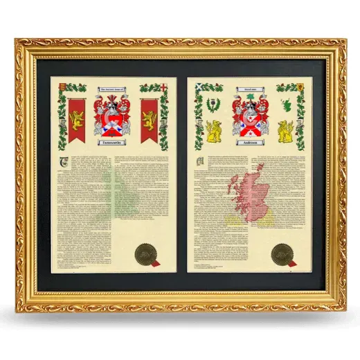 Double Armorial History Framed - Gold