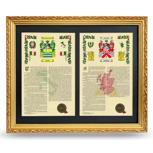 Double Armorial History Framed - Gold