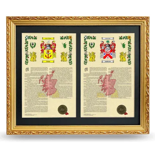 Double Armorial History Framed - Gold