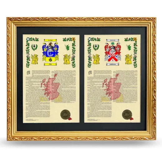 Double Armorial History Framed - Gold