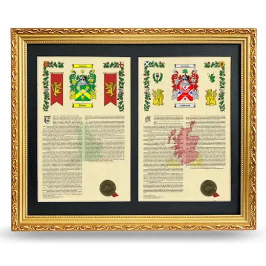Double Armorial History Framed - Gold