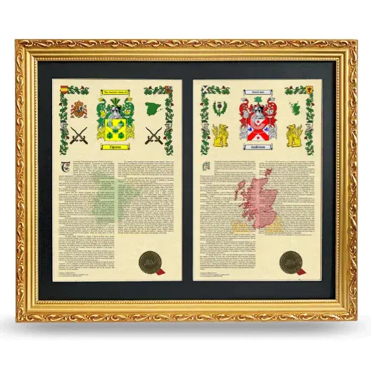 Double Armorial History Framed - Gold