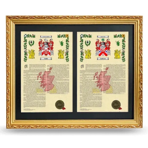Double Armorial History Framed - Gold