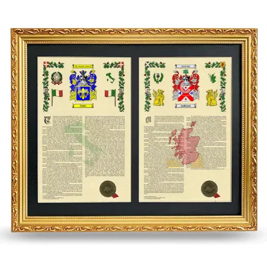 Double Armorial History Framed - Gold