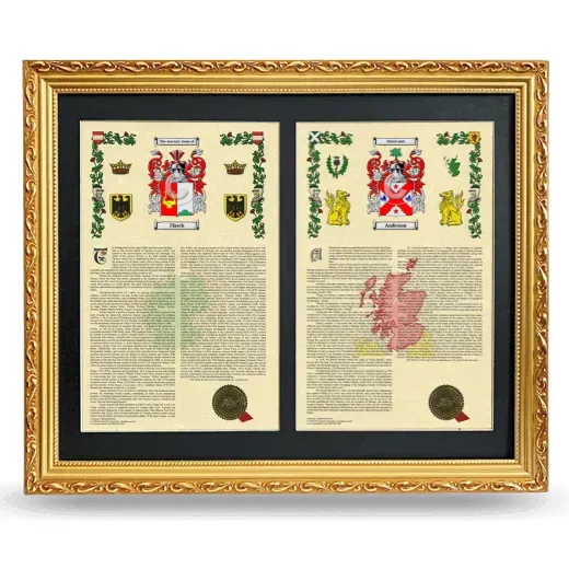 Double Armorial History Framed - Gold
