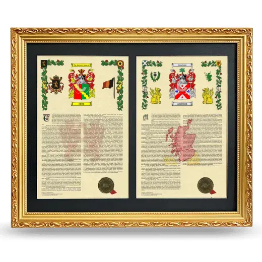 Double Armorial History Framed - Gold