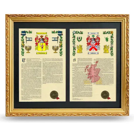 Double Armorial History Framed - Gold