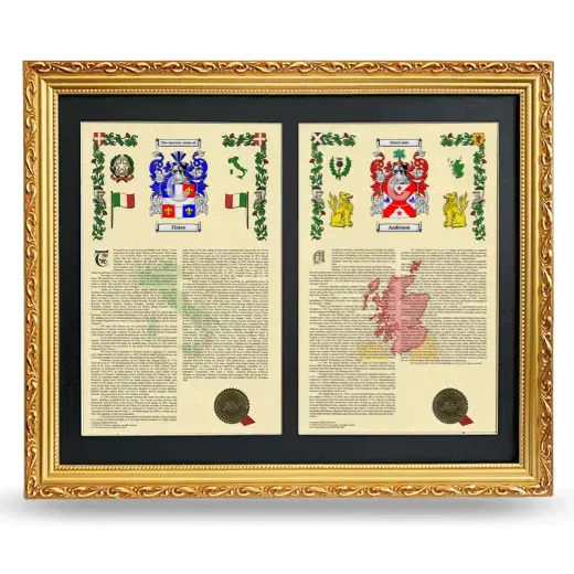 Double Armorial History Framed - Gold