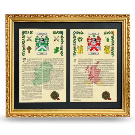 Double Armorial History Framed - Gold