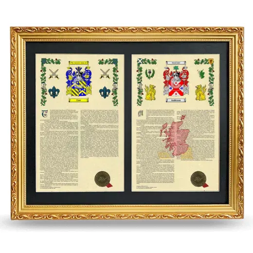 Double Armorial History Framed - Gold