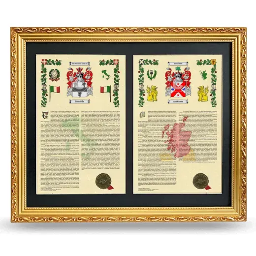 Double Armorial History Framed - Gold