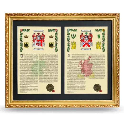 Double Armorial History Framed - Gold