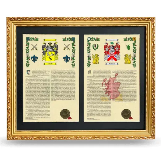 Double Armorial History Framed - Gold