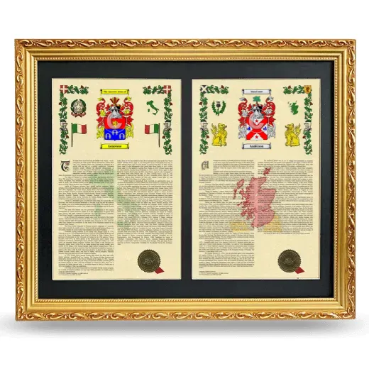 Double Armorial History Framed - Gold