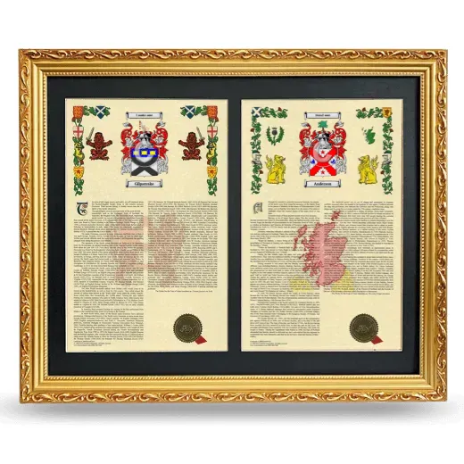 Double Armorial History Framed - Gold