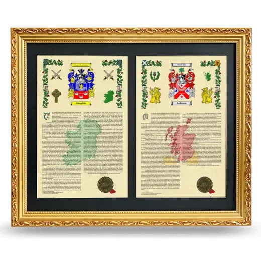 Double Armorial History Framed - Gold