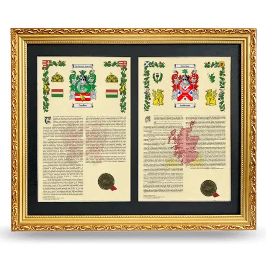 Double Armorial History Framed - Gold