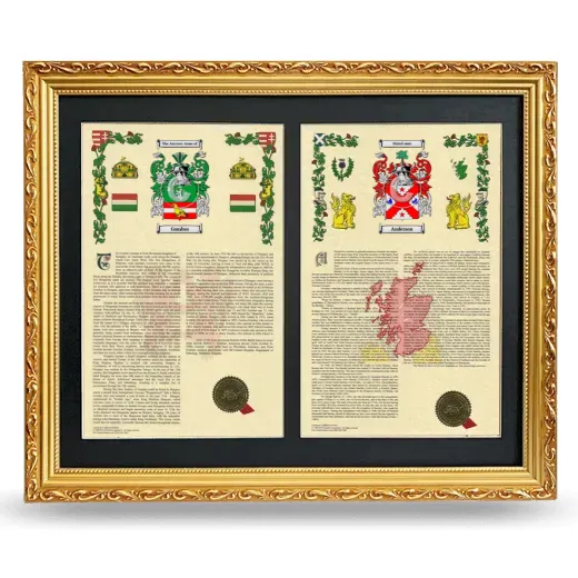 Double Armorial History Framed - Gold