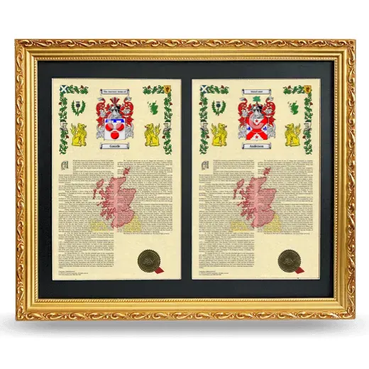 Double Armorial History Framed - Gold