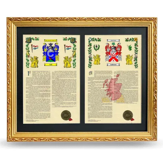 Double Armorial History Framed - Gold