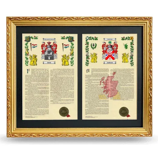 Double Armorial History Framed - Gold