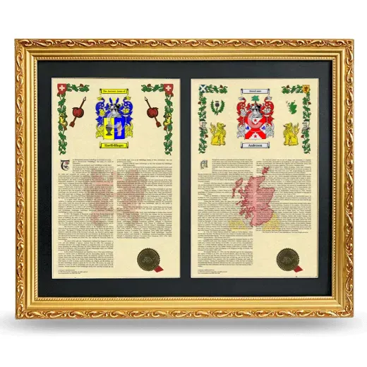 Double Armorial History Framed - Gold