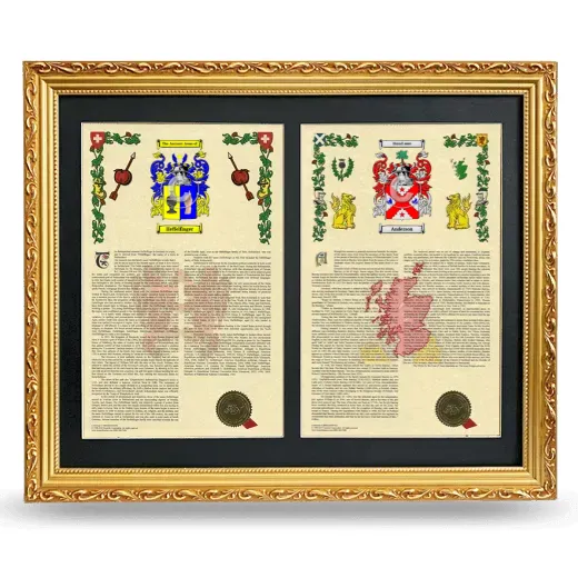 Double Armorial History Framed - Gold