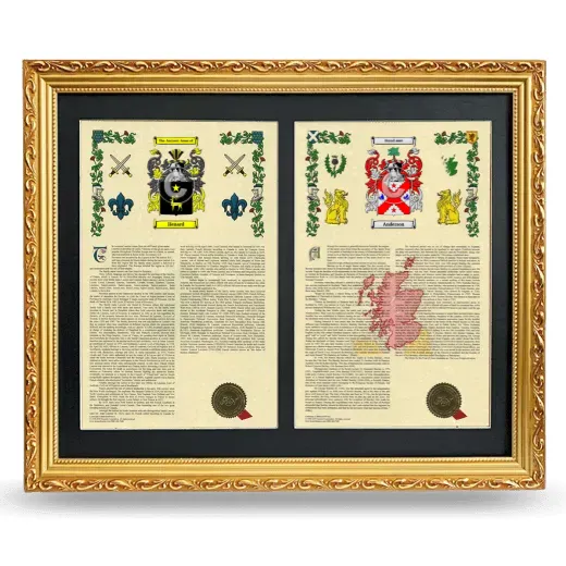 Double Armorial History Framed - Gold