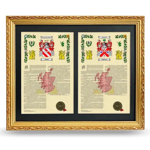 Double Armorial History Framed - Gold