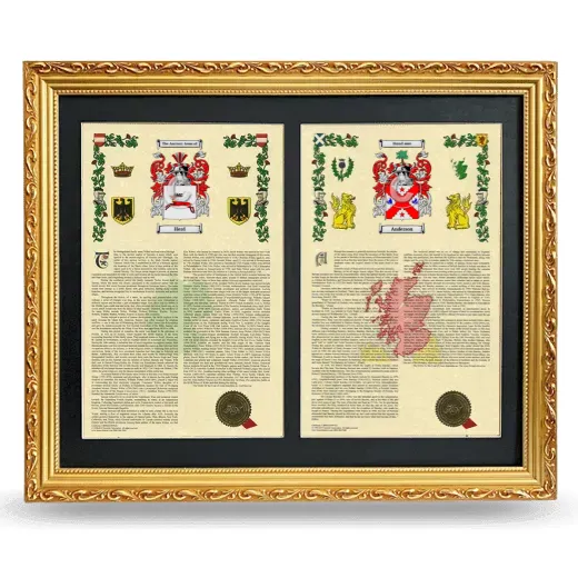Double Armorial History Framed - Gold