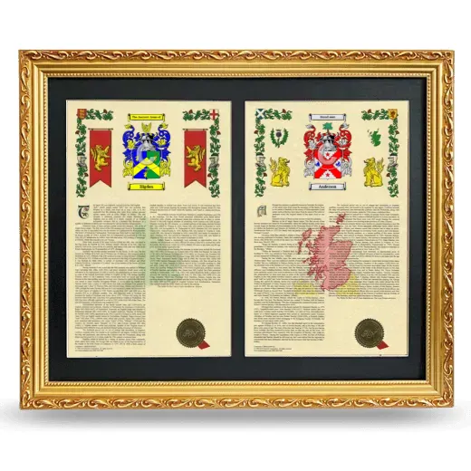 Double Armorial History Framed - Gold