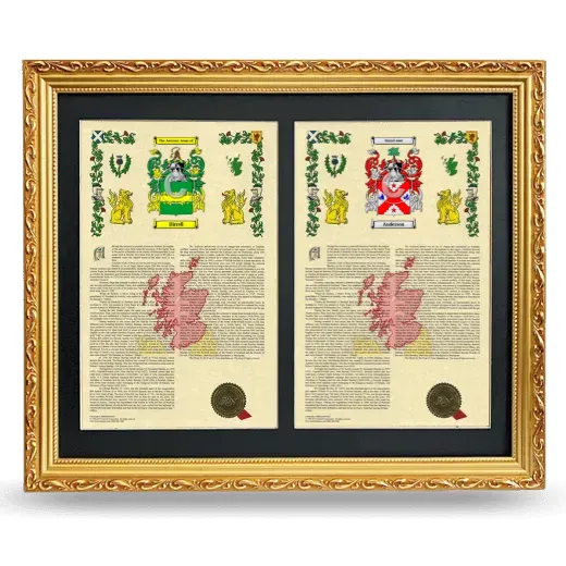 Double Armorial History Framed - Gold