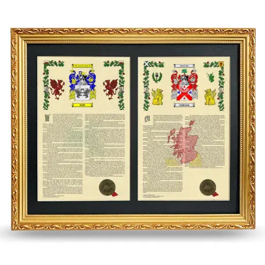 Double Armorial History Framed - Gold