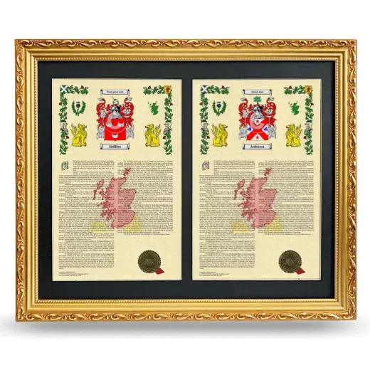 Double Armorial History Framed - Gold