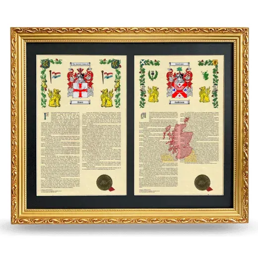 Double Armorial History Framed - Gold