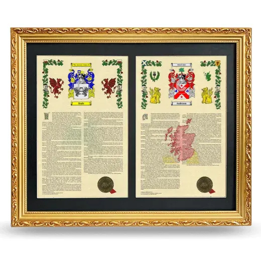 Double Armorial History Framed - Gold