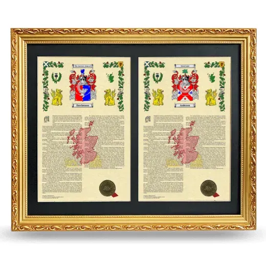 Double Armorial History Framed - Gold