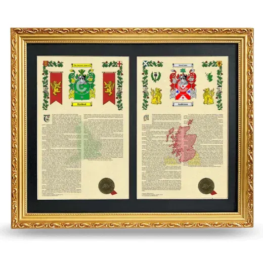Double Armorial History Framed - Gold
