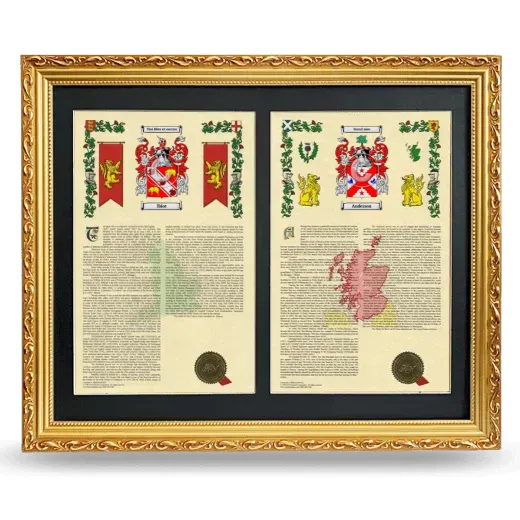Double Armorial History Framed - Gold