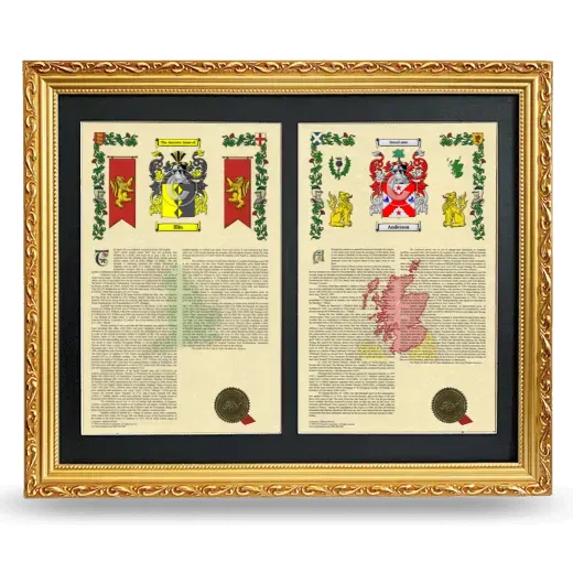 Double Armorial History Framed - Gold