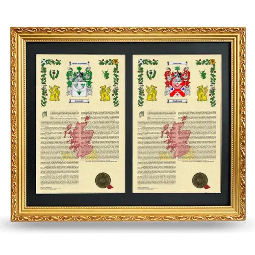 Double Armorial History Framed - Gold