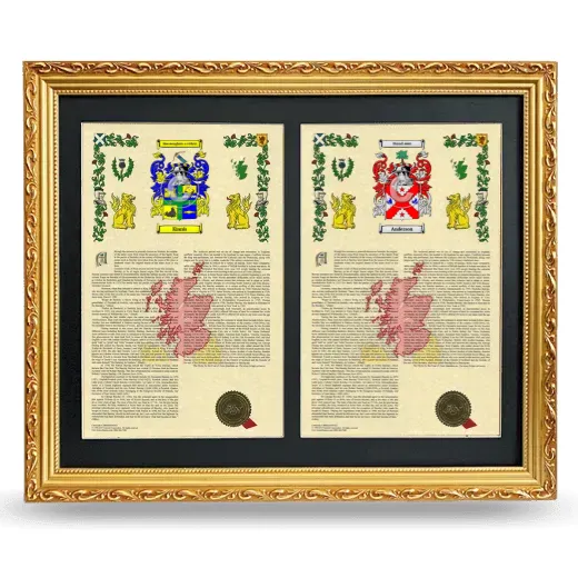 Double Armorial History Framed - Gold