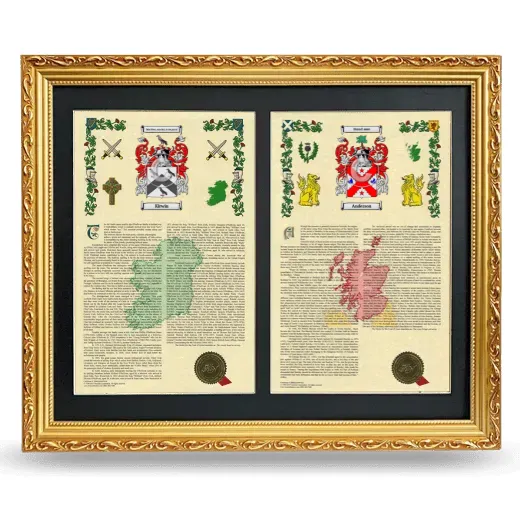 Double Armorial History Framed - Gold