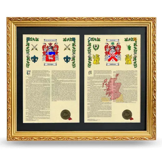 Double Armorial History Framed - Gold